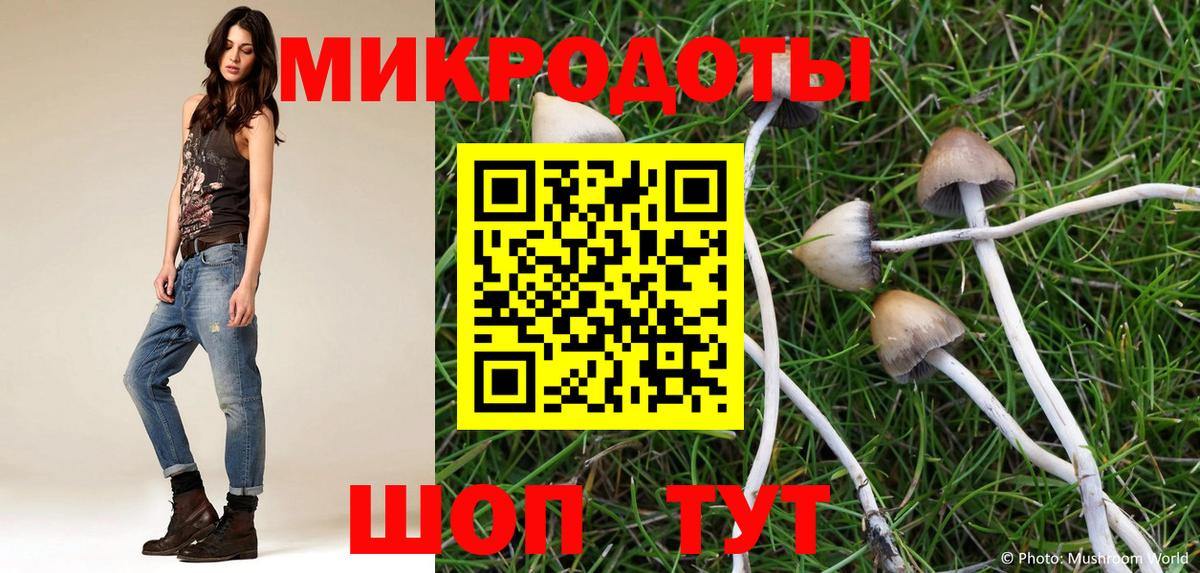 как найти   Псилоцибиновые грибы GOLDEN TEACHER  Бугуруслан  Вход с VPN  Галлюциногенные грибы Magic Shrooms 
