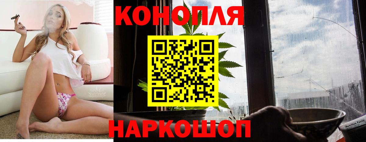 Шишки марихуана семена Бугуруслан